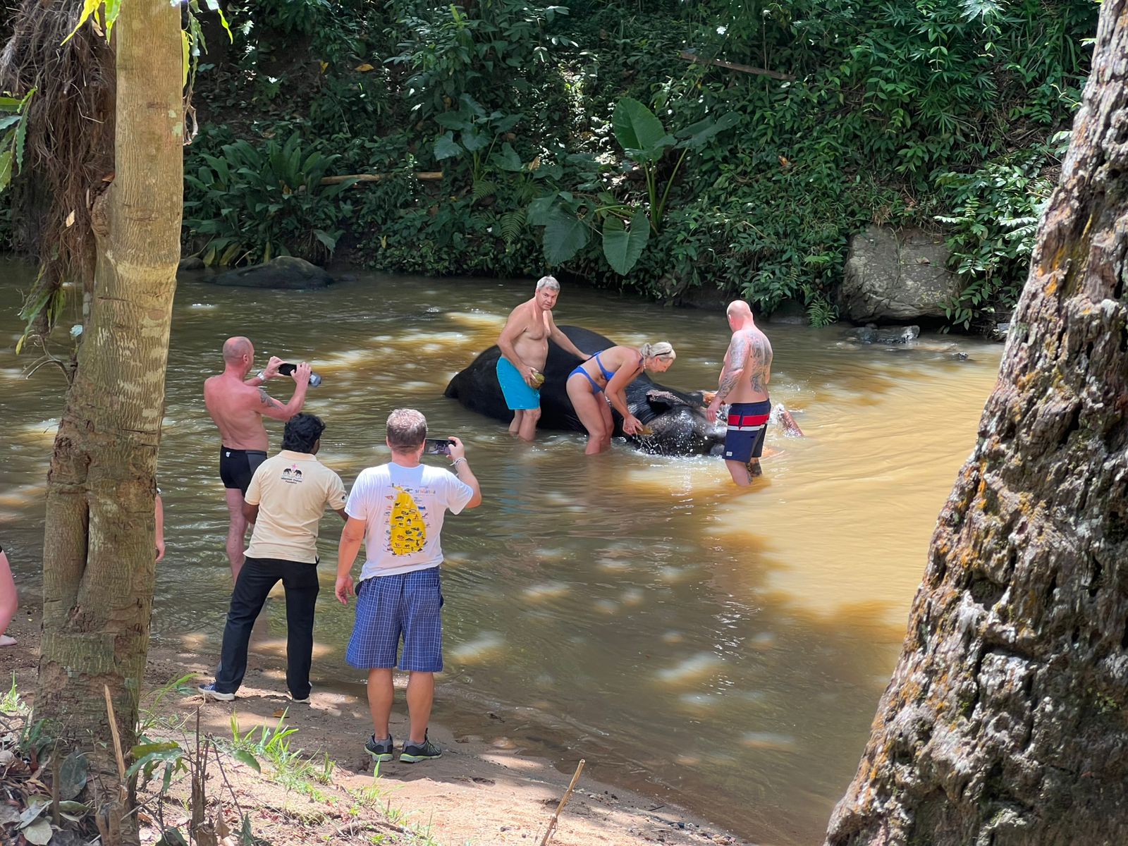 Kandy Day Tour From Colombo , Bentota , or Kalutara Area