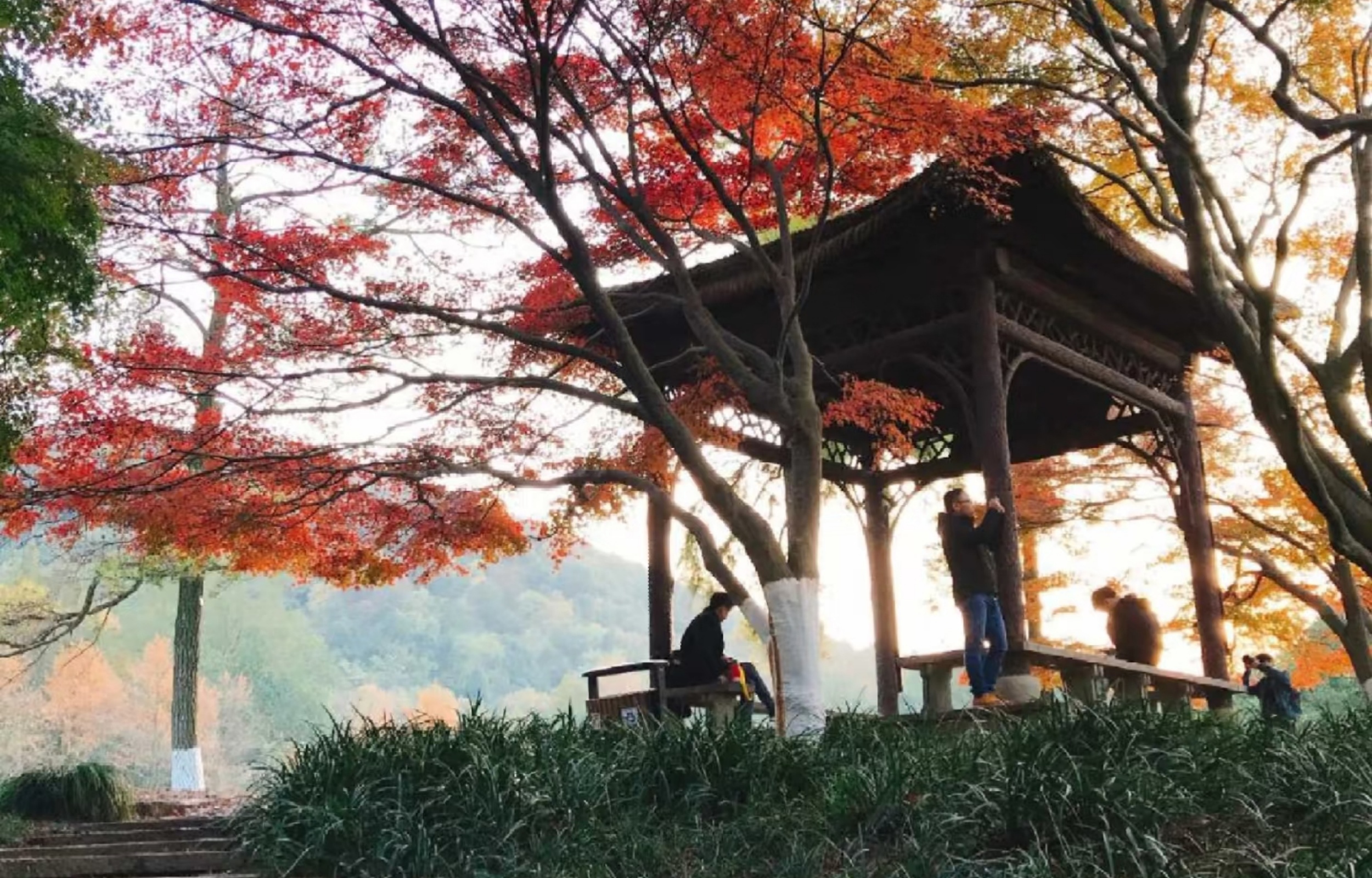 九溪美景 九溪美景