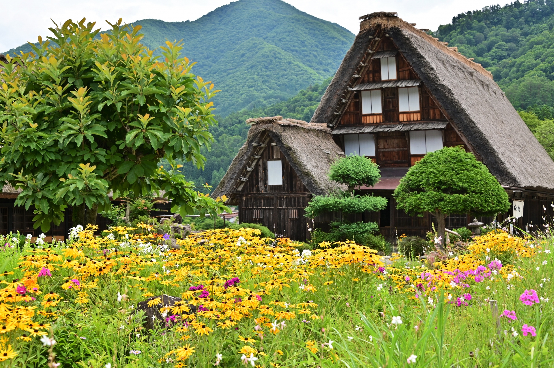 Takayama & Shirakawa-go Day Tour with Hida Beef Lunch