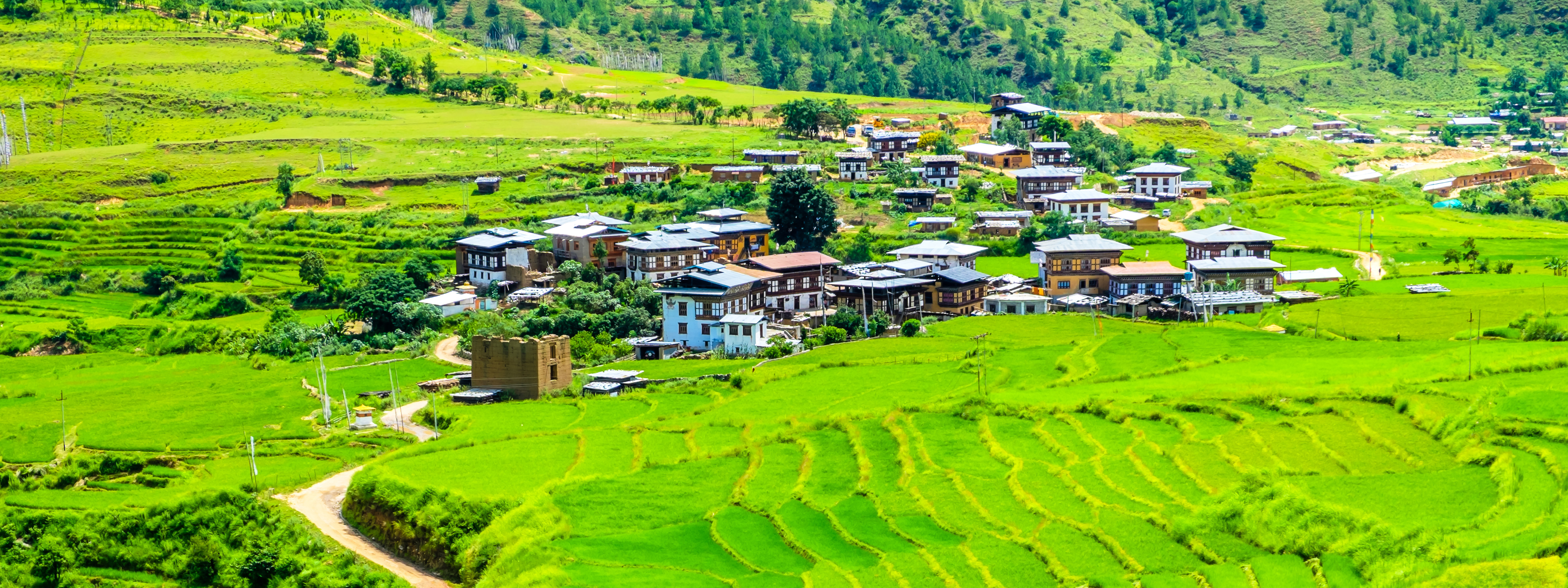 6D5N Druk Path Trek