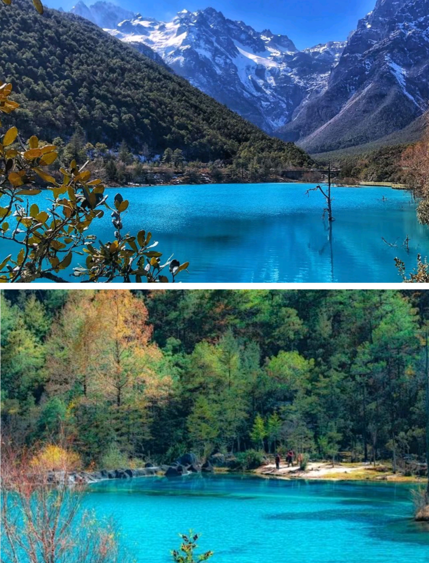 Yunnan Dali Lijiang Shangri-La 5 days (Erhai Shuanglang, Lijiang Old Town, Jade Dragon Snow Mountain Cableway Challenge 4680, Little Potala Palace Songzanlin Temple, Tiger Leaping Gorge)
