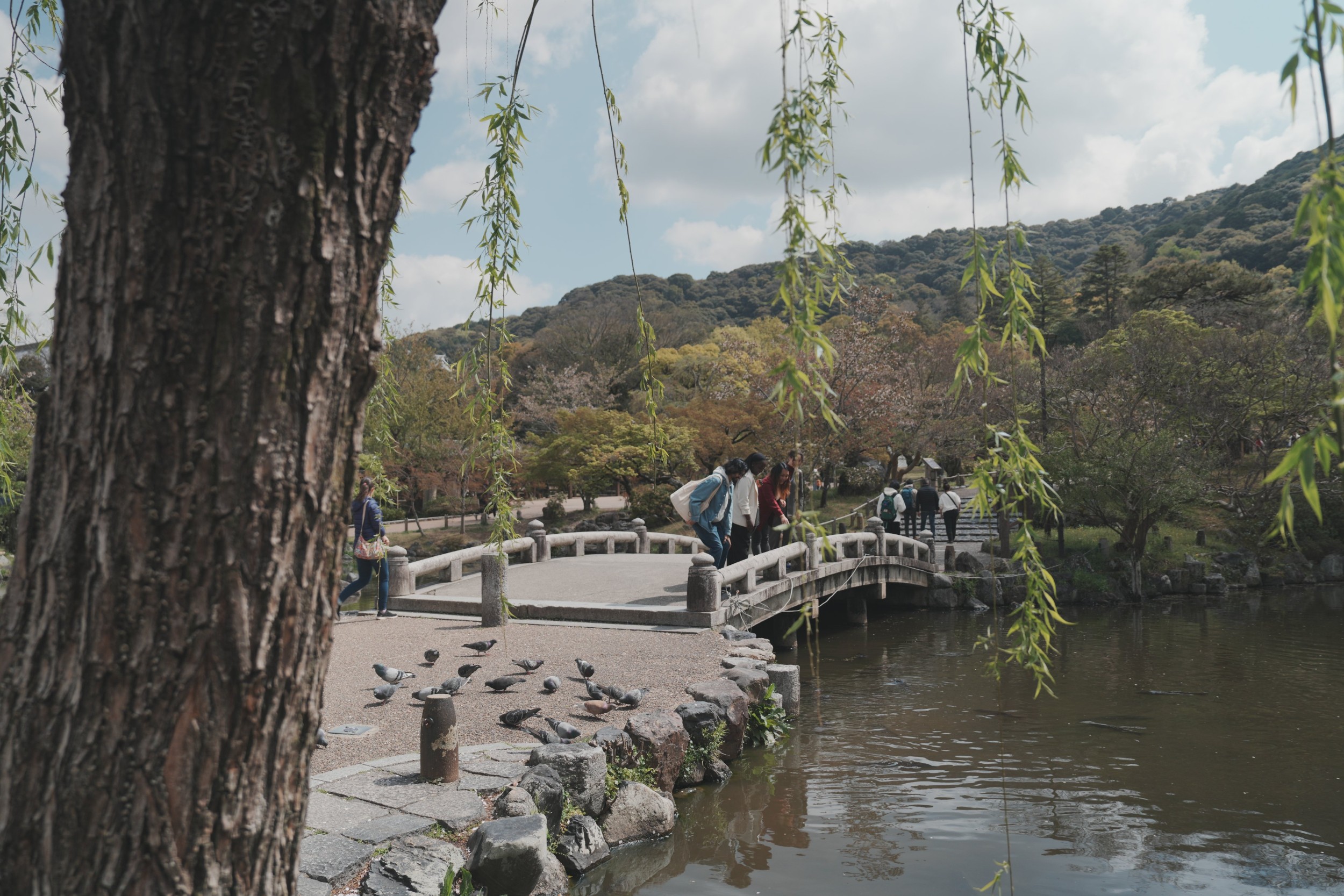 京都一日遊：永恆的地標和隱藏的瑰寶