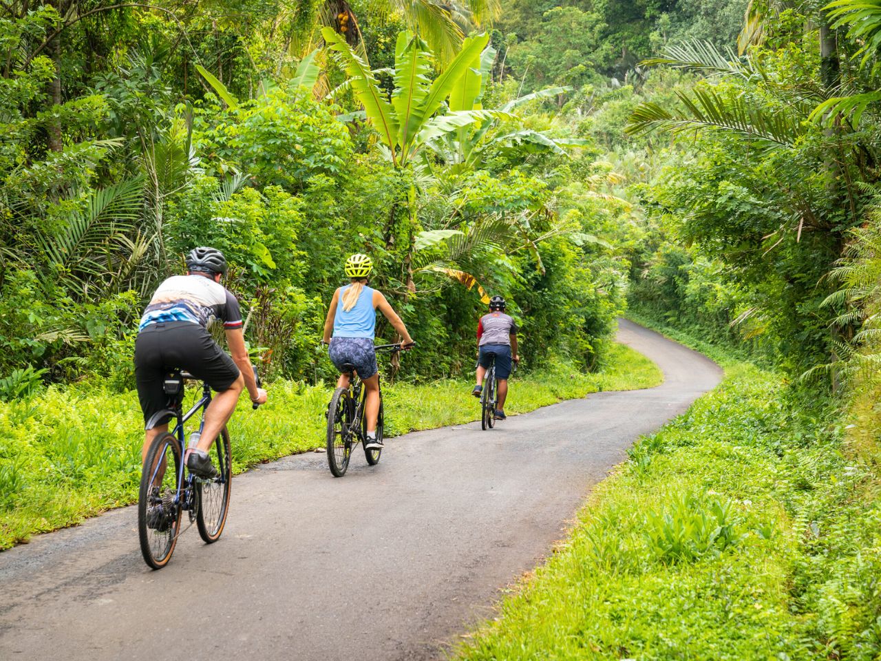 Kaura Cycling Adventure and Virgin Beach Guided Tour in Bali