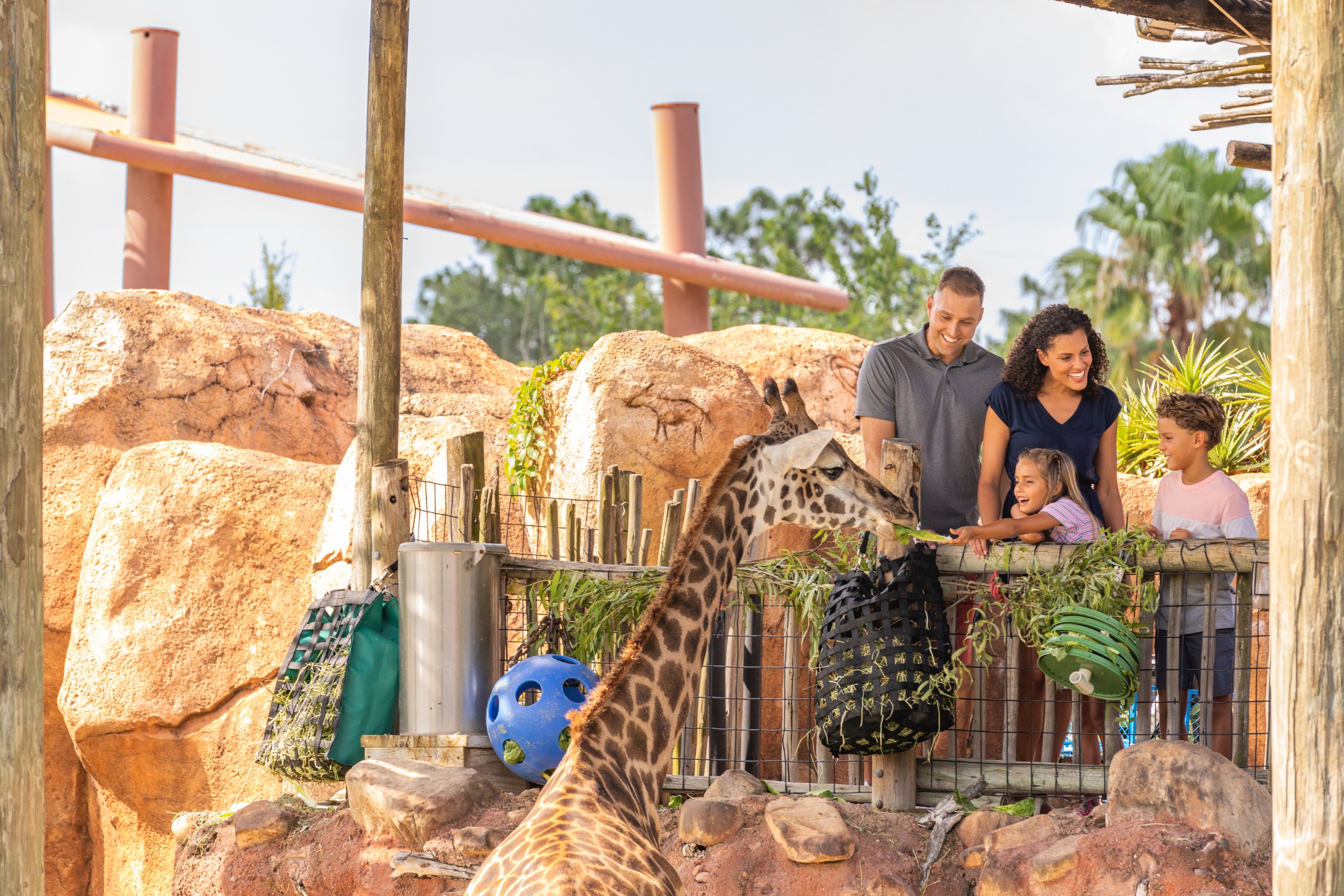 坦帕ZooTampa & 佛羅里達水族館門票