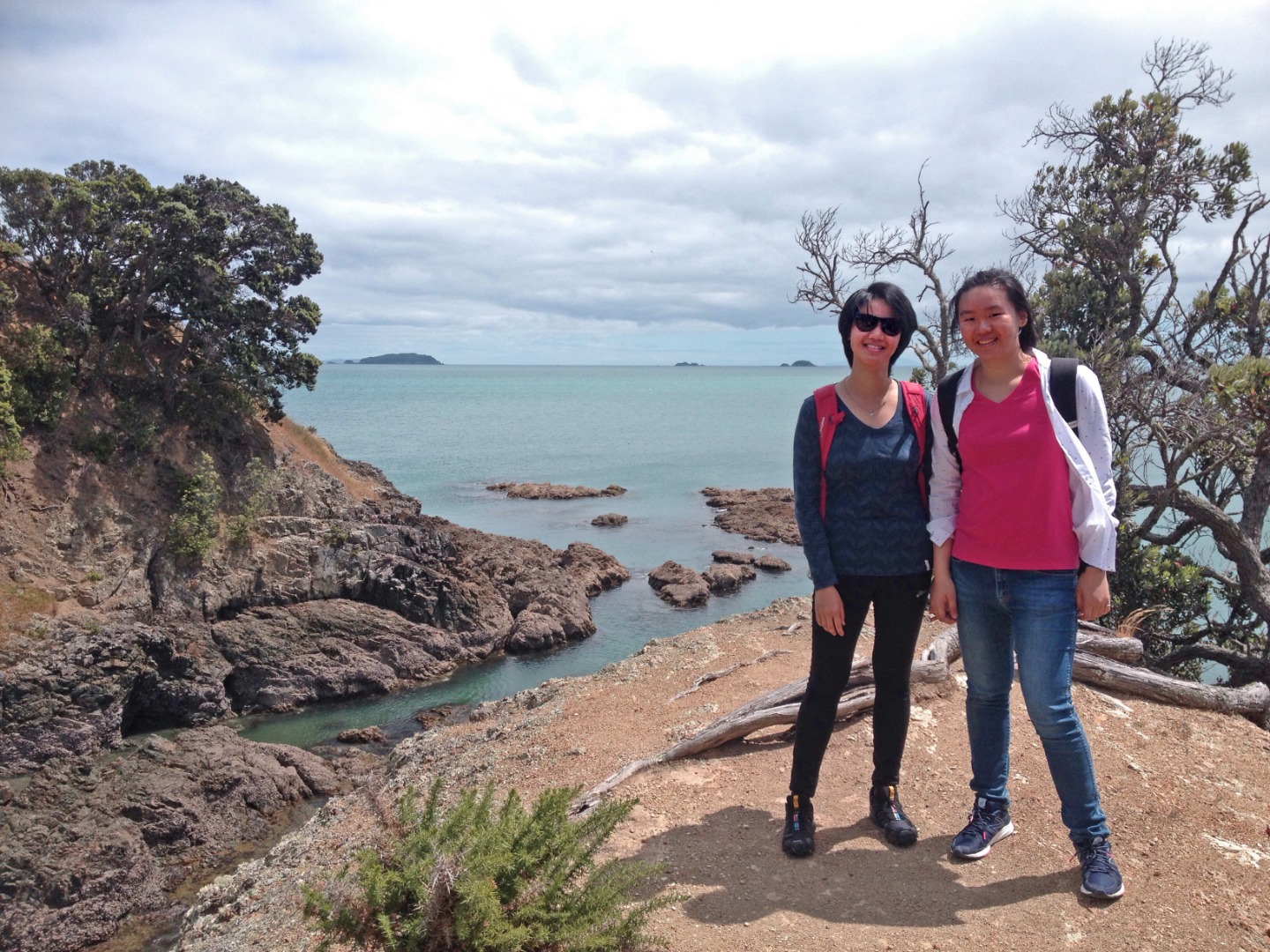 Guided Walking Tours on Waiheke Island	