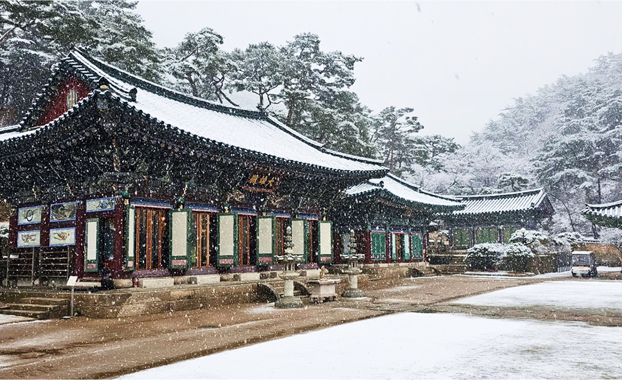 冬季的津寬寺提供一個寧靜的休憩之所，擁有幽靜的小徑和傳統的寺廟建築，周圍環繞著白雪皚皚的山脈。