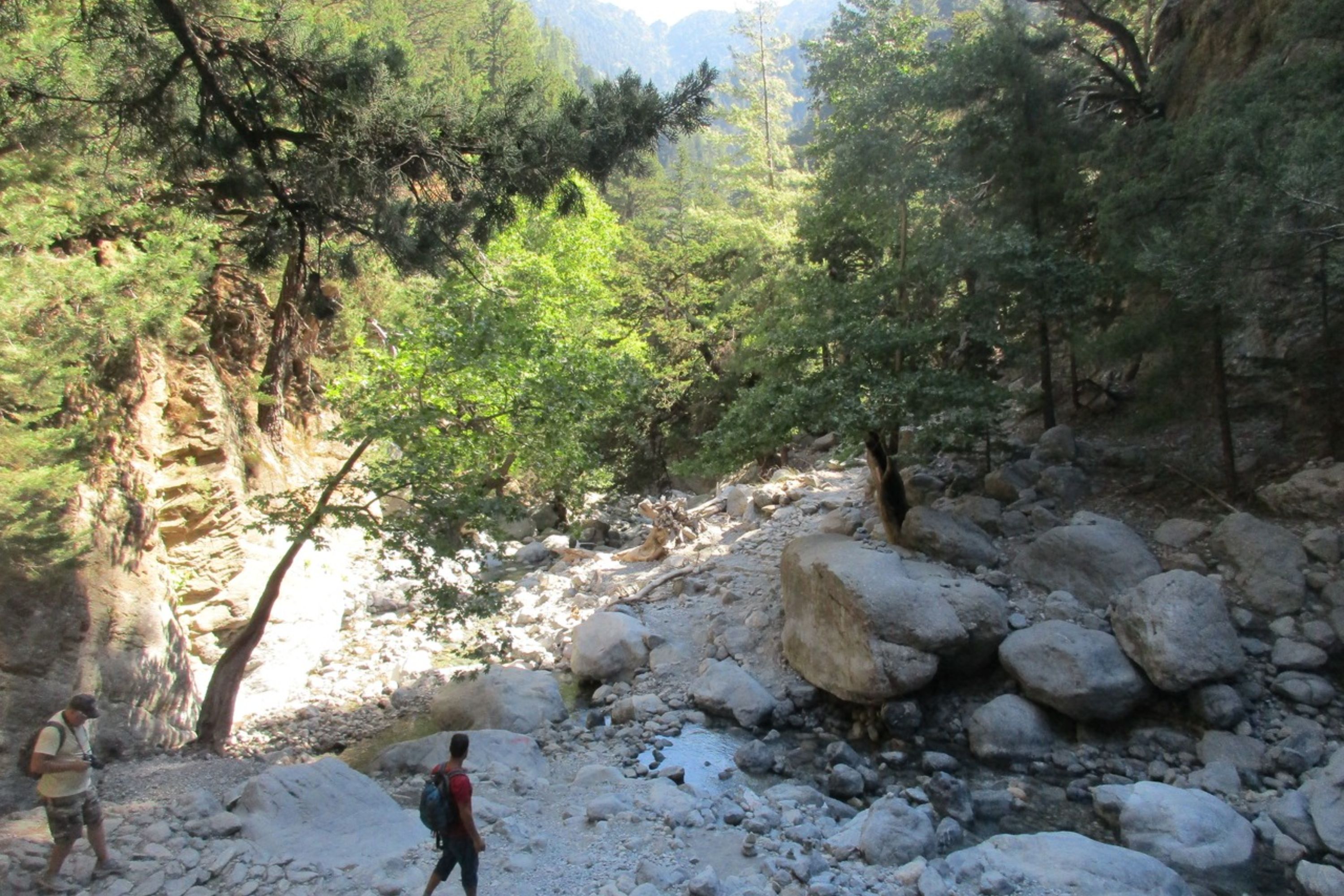 Samaria Gorge full-day trekking tour from Rethymno