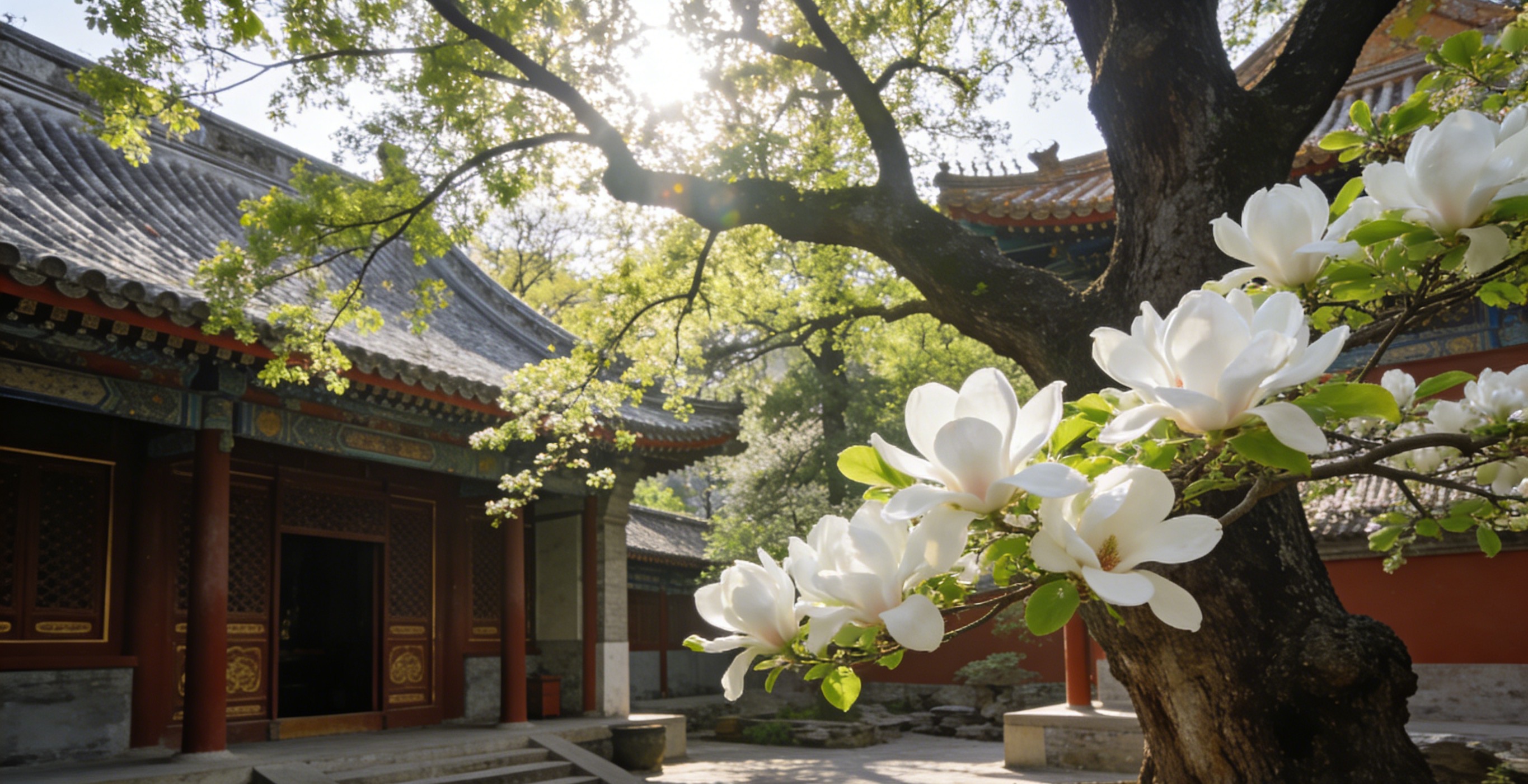 參觀完中國植物園，我們將前往大覺寺。大覺寺始建於遼代鹹雍四年（1068 年），初名清水院，是遼代西山八大水院之一。在歷史的長河中，大覺寺曾多次作為皇家寺廟，承載著重要的宗教活動。它見證了朝代的更迭，歲月的變遷，至今仍保留著古樸典雅的風貌。寺內建築風格融合了遼代的雄渾大氣與明清時期的精緻細膩，古色古香的殿堂、參天的古樹，都彷彿在靜靜訴說著往昔的故事。走進大覺寺，感受這份穿越千年的寧靜與厚重，為您的旅程增添一抹獨特的文化韻味。一天的行程結束，導遊和司機將你送回飯店，這次充實又美好的北京園景一日遊畫上圓滿句號。