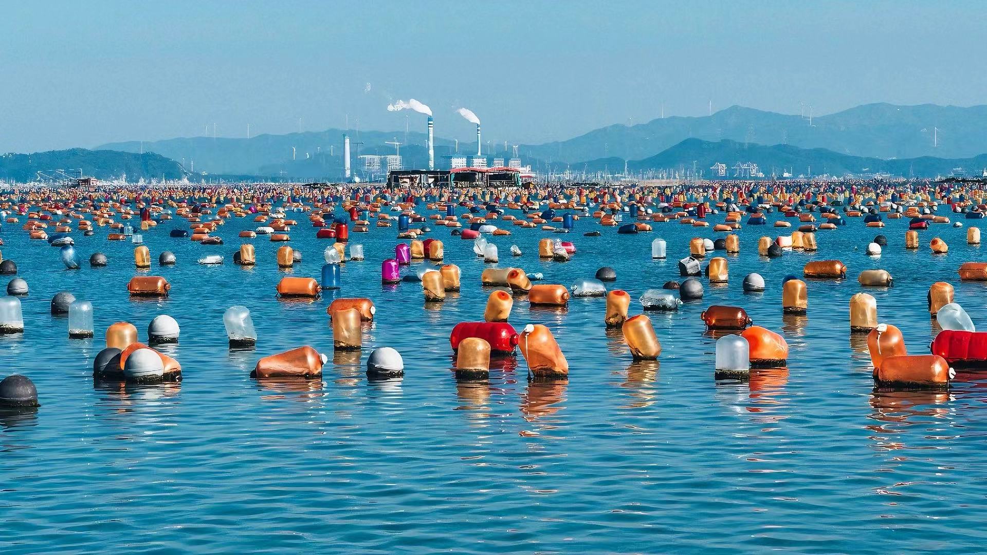 南澳是一片用彩色環保浮球養殖生蠔的 “海上牧場”，拍照好出片。