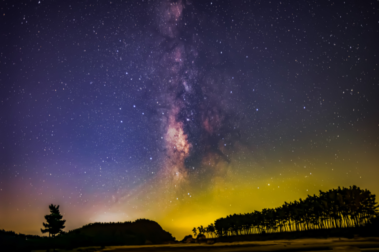 Gangneung Starlight Tour from Seoul