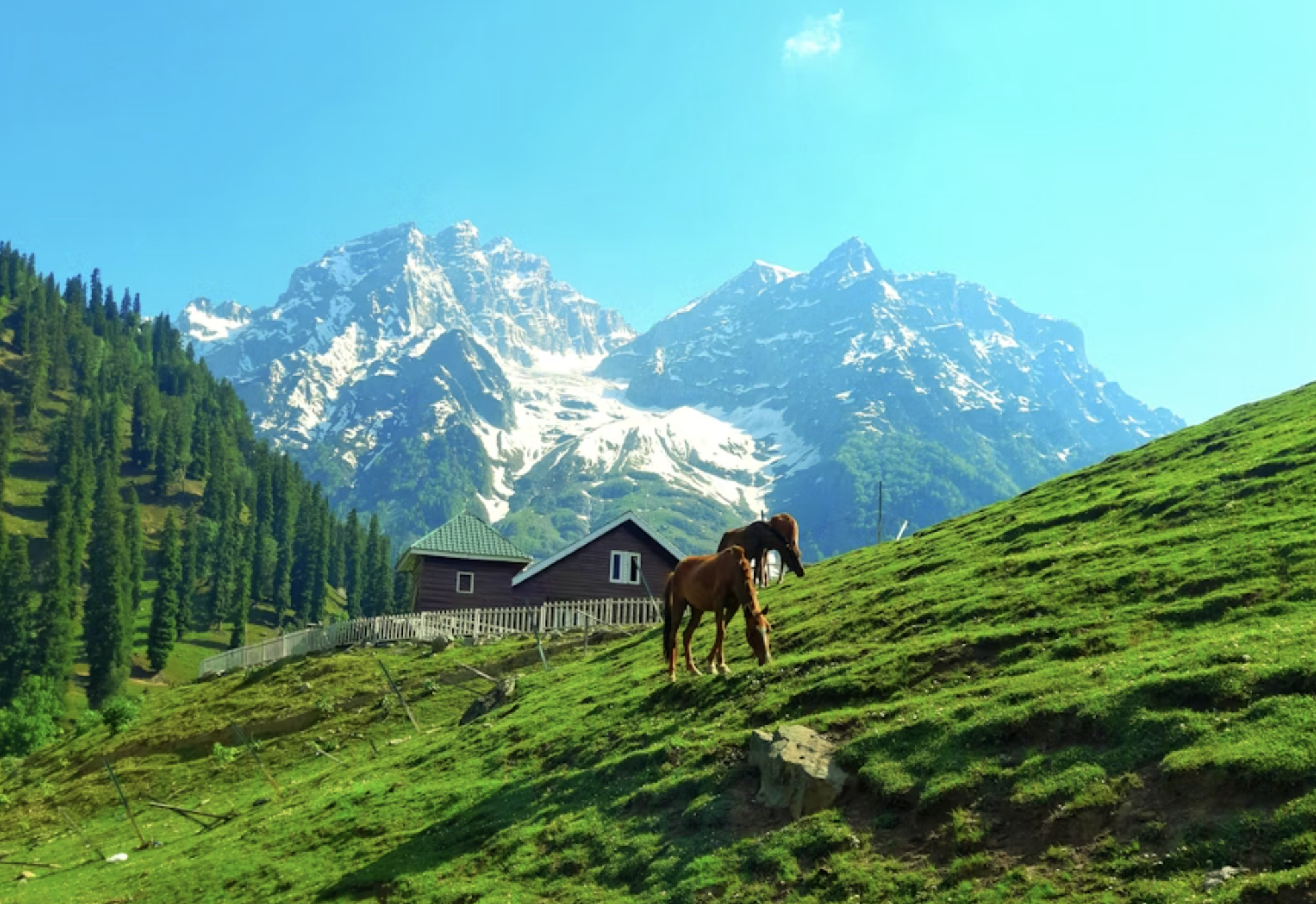 From Srinagar: Private Sonamarg Day Trip with Chauffeur & AC Car 