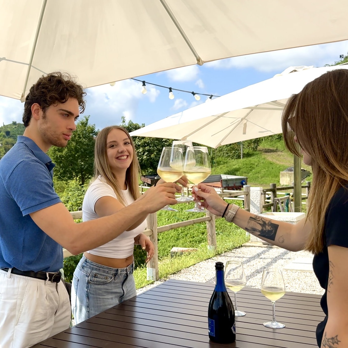 Best Tour to the Prosecco Hills and Wine Tasting