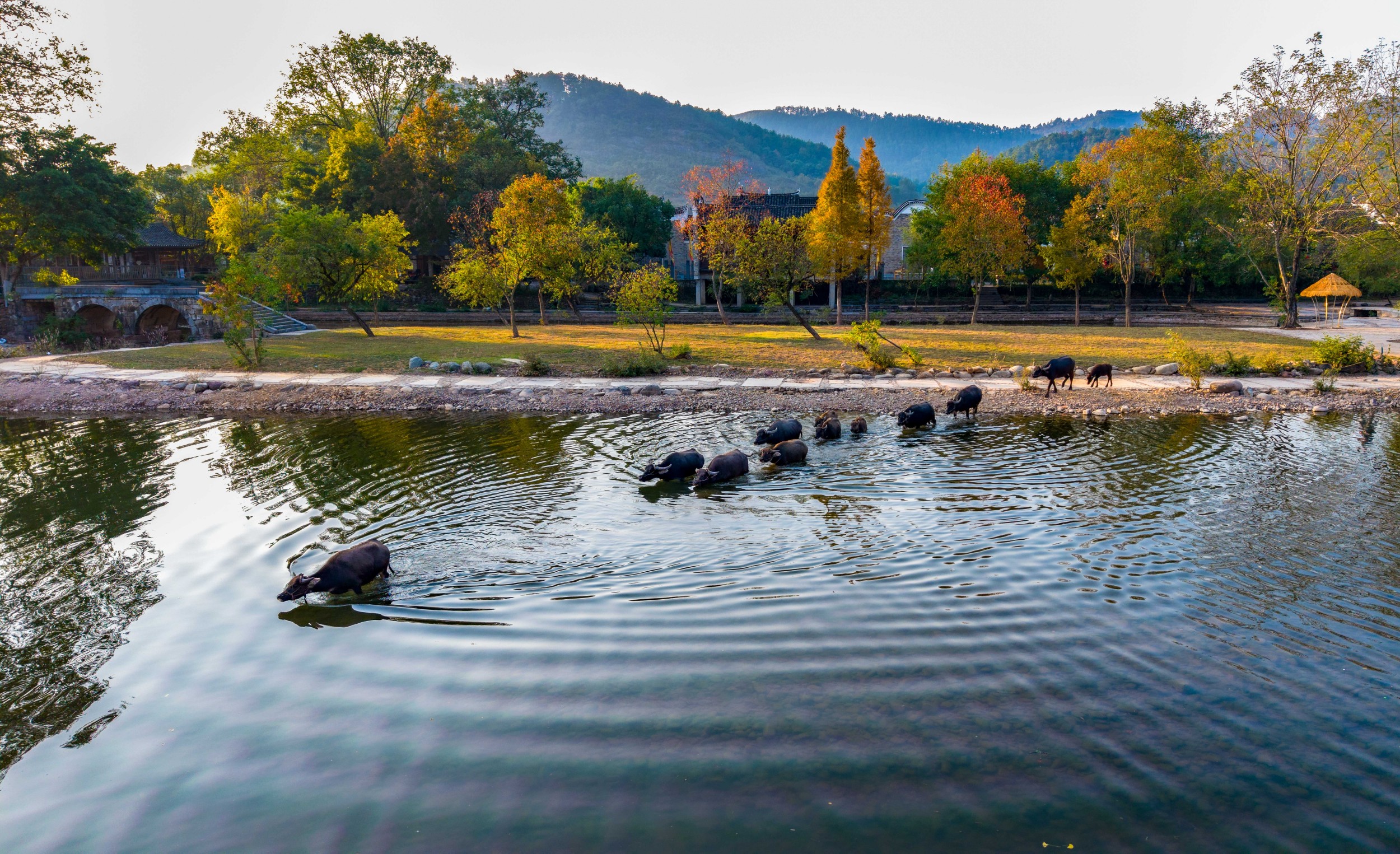 Guilin Dongli Ancient Village Intangible Cultural Heritage Exhibitio