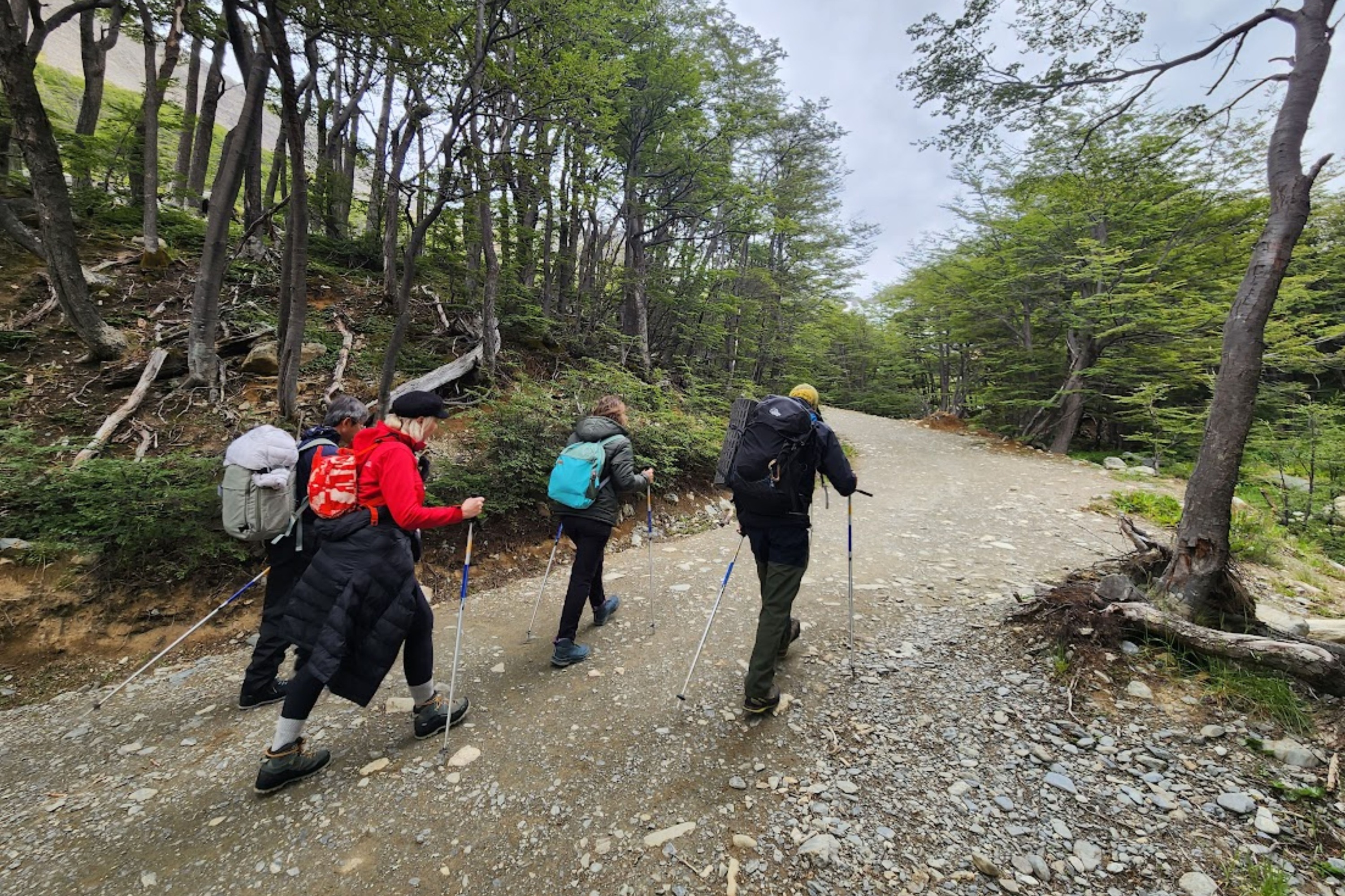 烏斯懷亞馬蒂亞爾冰川徒步之旅