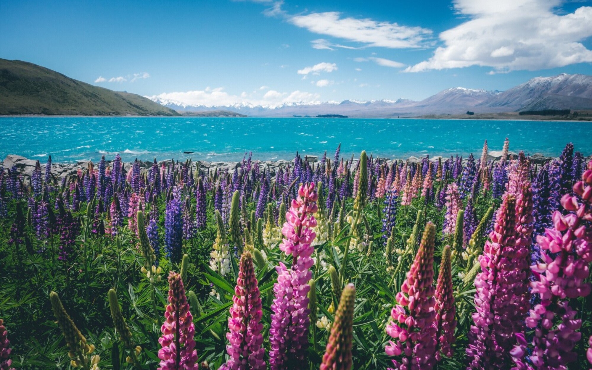 Mount Cook & Lake Tekapo Day Trip from Christchurch