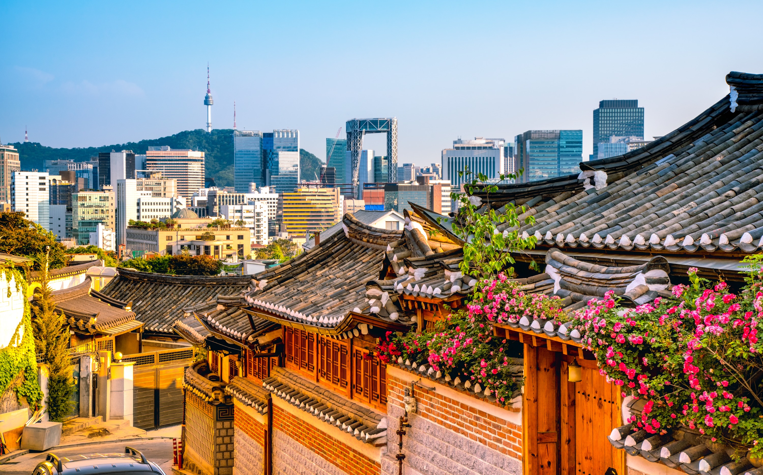 Seoul to nearby Suburbs Private Car Rental with Driver