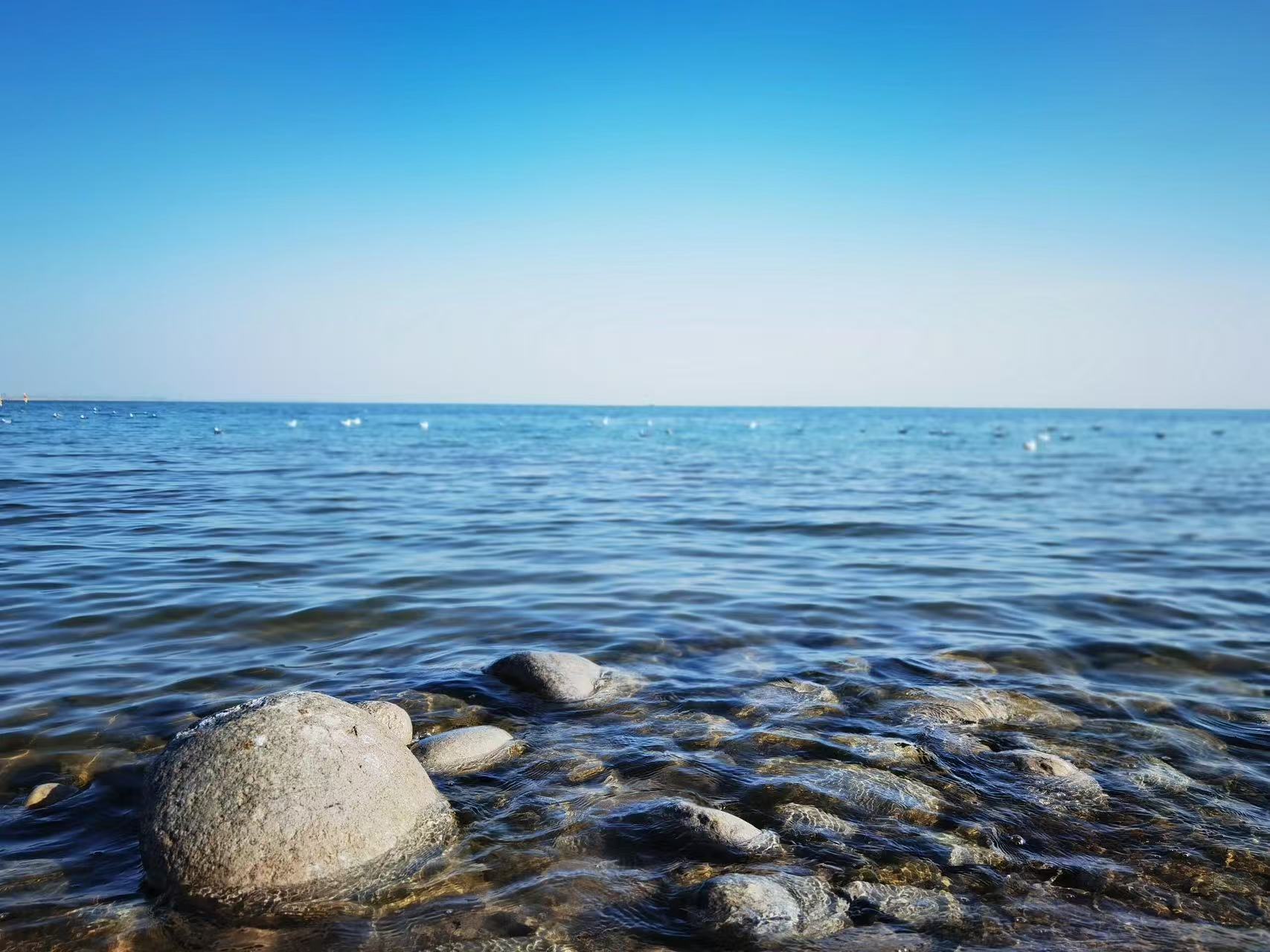 博斯騰湖的湖水澄澈如藍，在晴空下泛著粼粼波光。圓潤的卵石靜臥淺灘，水鳥點點點綴湖面，風拂過水麵，將這片 “西海” 的遼闊與溫柔，揉進每一縷清新的空氣裡