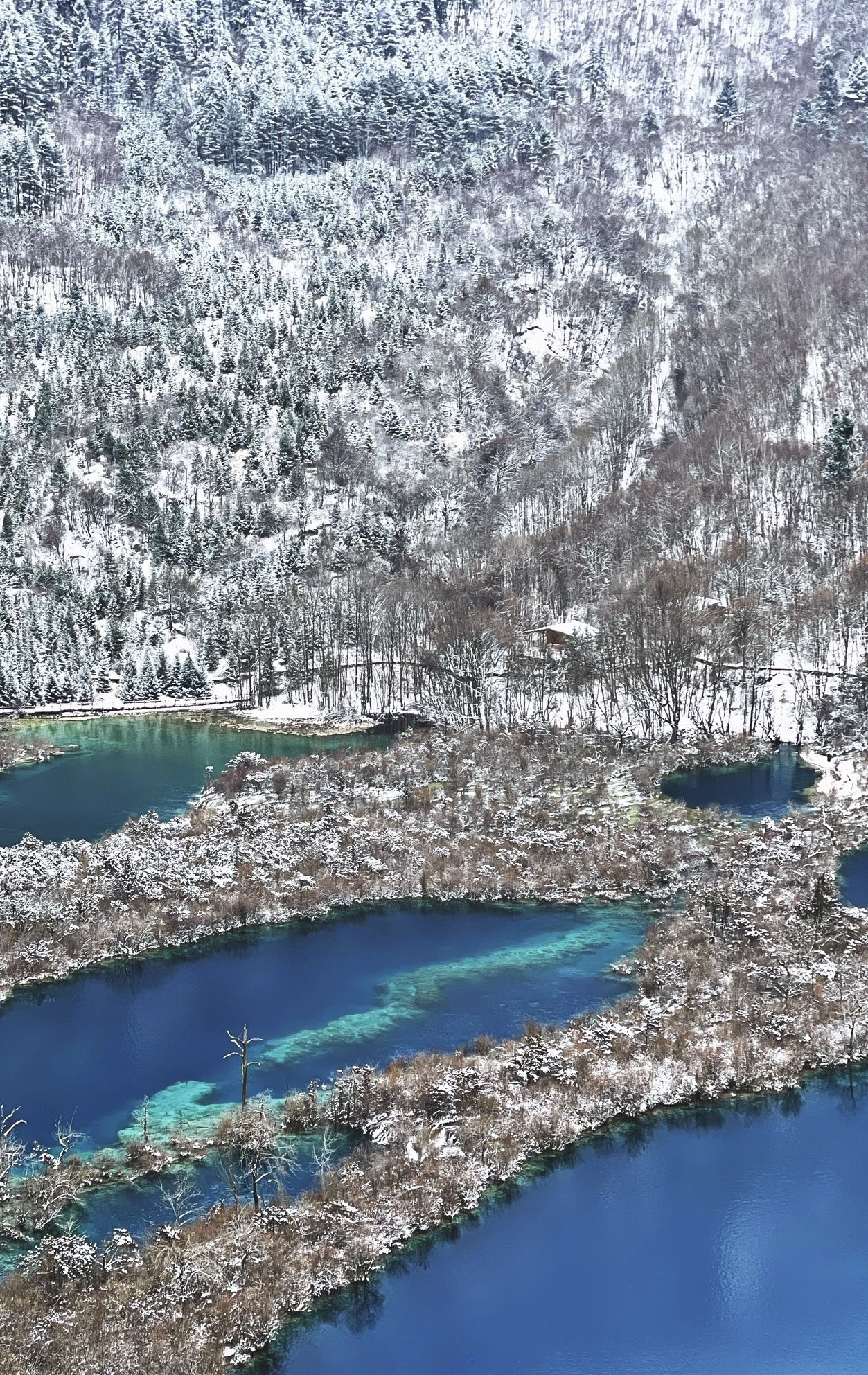 九寨-【樹正群海】九寨溝樹正溝的核心景點,由19個大小海子組成,呈梯田狀排列,海拔2187米至2280米,高差100餘米,逶迤相連長達1000米。湖水清澈見底,隨光線變化呈現翠綠、湛藍、橙黃等色彩,周圍山巒環繞,綠樹成蔭,枯木在水中歷經歲月侵蝕,形態各異,與波光粼粼的湖水、鬱鬱蔥蔥的樹木相互映襯,構成一幅充滿詩意的畫面,被譽為“九寨溝的縮影”。 九寨-【樹正群海】九寨溝樹正溝的核心景點,由19個大小海子組成,呈梯田狀排列,海拔2187米至2280米,高差100餘米,逶迤相連長達1000米。湖水清澈見底,隨光線變化呈現翠綠、湛藍、橙黃等色彩,周圍山巒環繞,綠樹成蔭,枯木在水中歷經歲月侵蝕,形態各異,與波光粼粼的湖水、鬱鬱蔥蔥的樹木相互映襯,構成一幅充滿詩意的畫面,被譽為“九寨溝的縮影”。