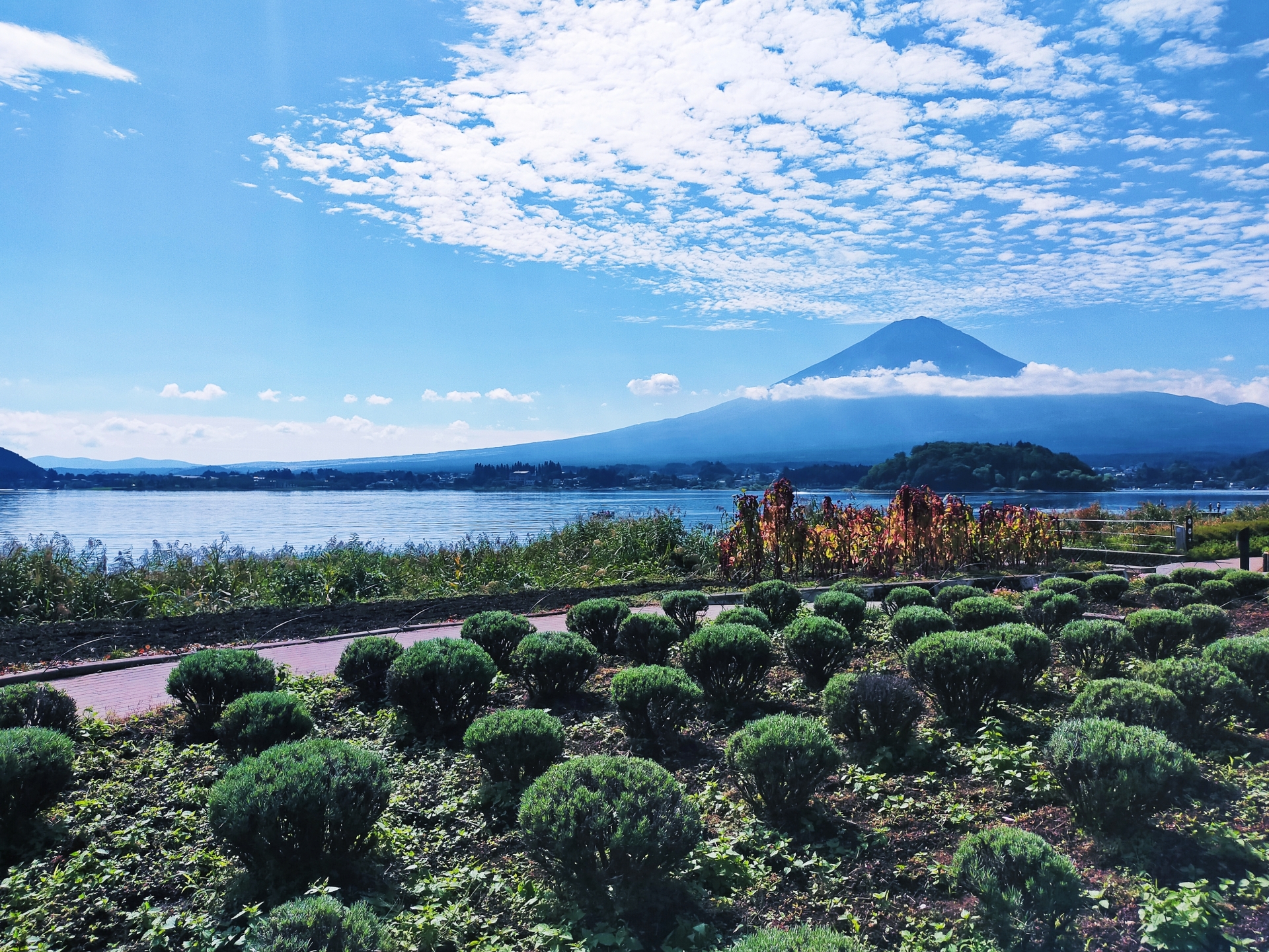高級版富士山河口湖絕景一日遊！坐豪華巴士巡遊多個拍攝點，從不同角度欣賞令人震撼的富士山美景！包含神戶牛涮涮鍋（品川/新宿出發）