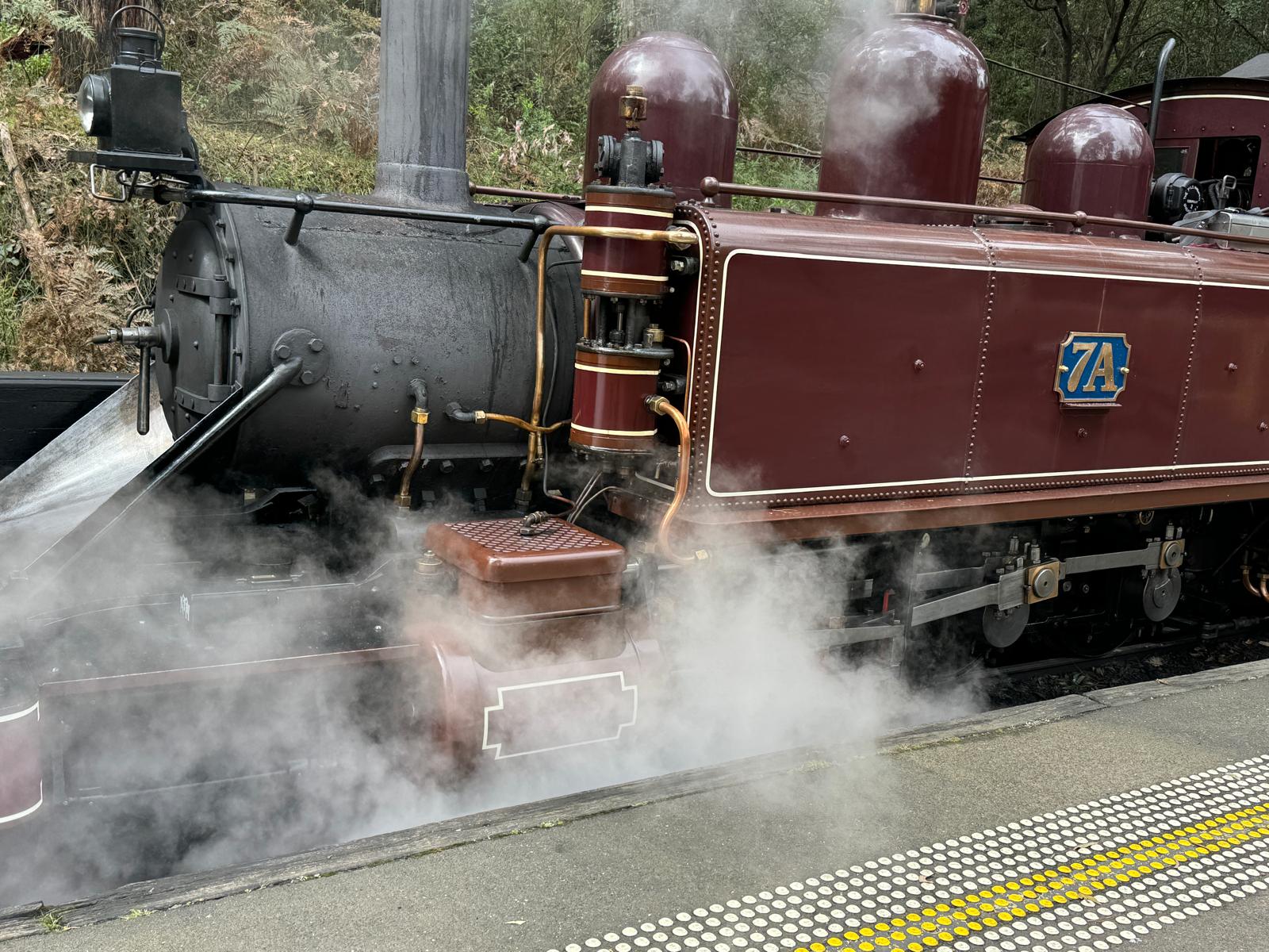 從墨爾本出發的普芬比利蒸汽火車 (Puffing Billy Steam Train) 之旅
