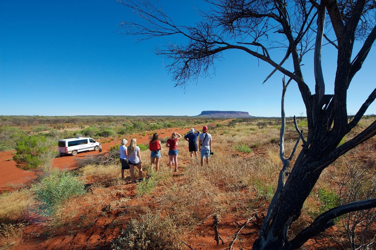 Mount Conner 4WD Outback Adventure Tour