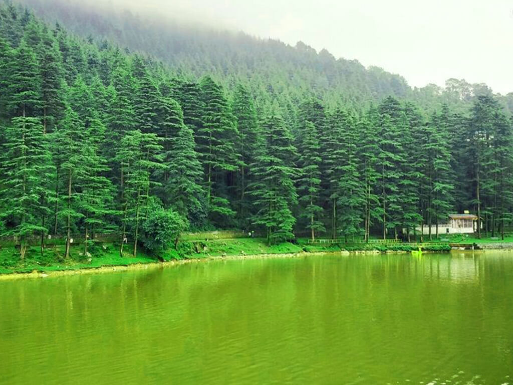 Full Day Dharamshala Tour