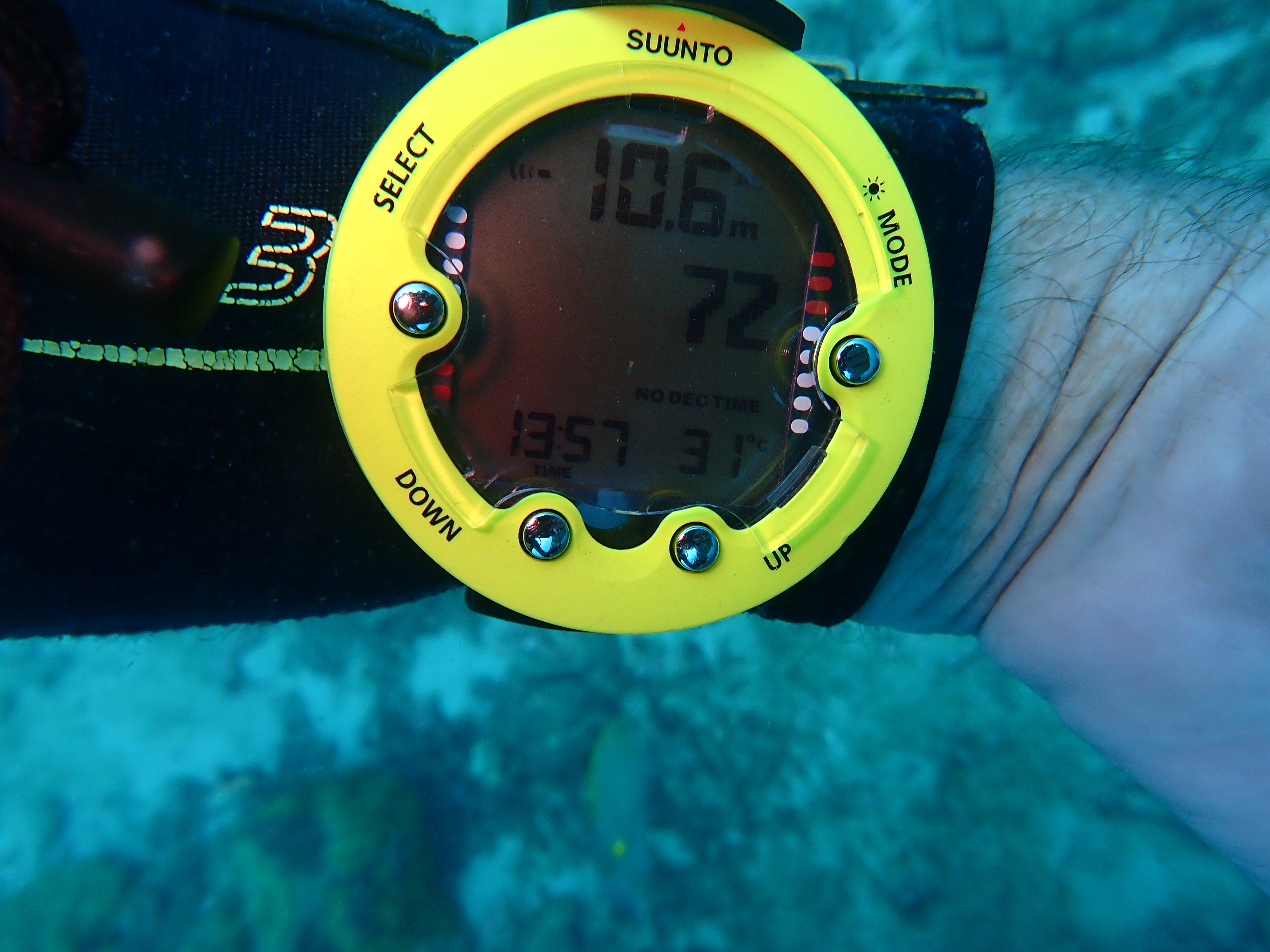 象島PADI高氧潛水體驗（PADI五星級潛水中心）