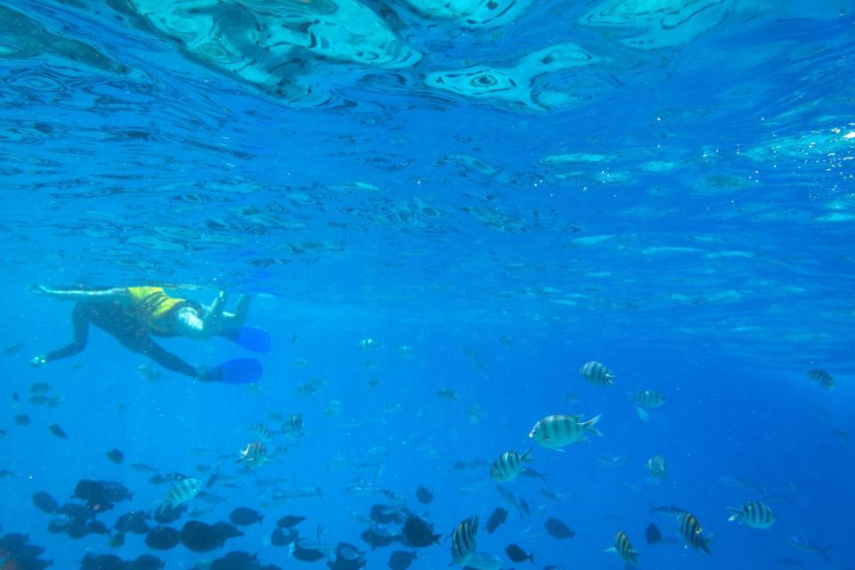 薩法加：橘子島快艇、浮潛 & 風帆傘運動