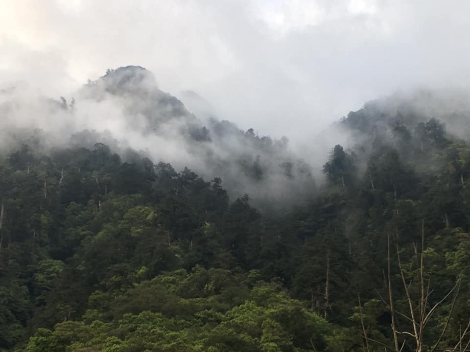 明池森林遊樂區門票