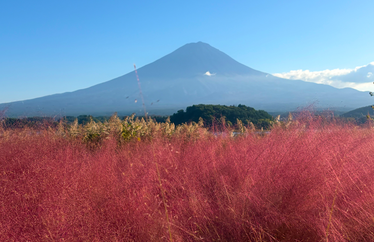 9-Person Premium Small Group | Mt. Fuji Six Views Private Small Group Day Tour & Popular Spot Check-in | Optional Hotel Pick-up and Drop-off (Chinese and English)