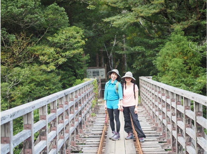 Trekking and Trial Diving in Yakushima