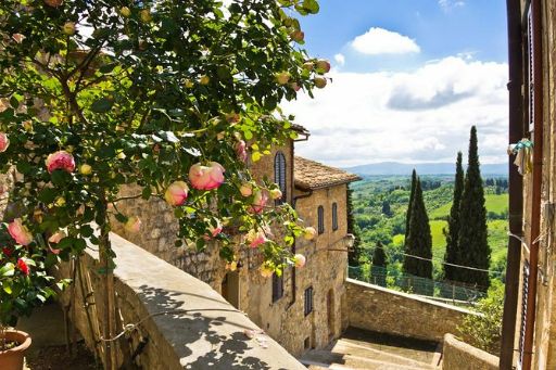 Roses on a Balcony