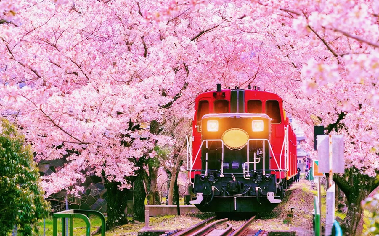 Kyoto Arashiyama: Sagano Scenic Railway (Optional) & Sanzen-in Temple Day Trip | Depart from Osaka/Kyoto