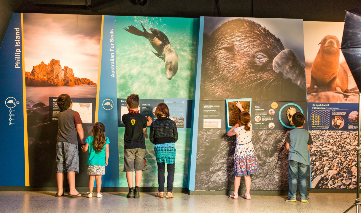 Antarctic Journey at the Nobbies