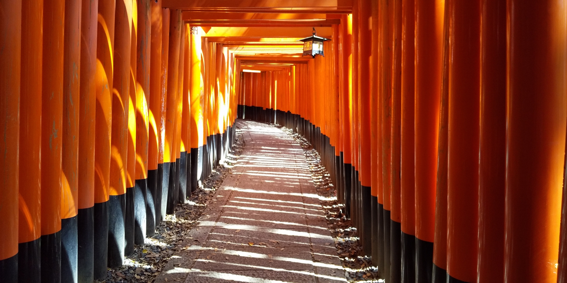 Rows of bright vermilion torii gates line the path, making this one of the most spiritually powerful places in Kyoto.