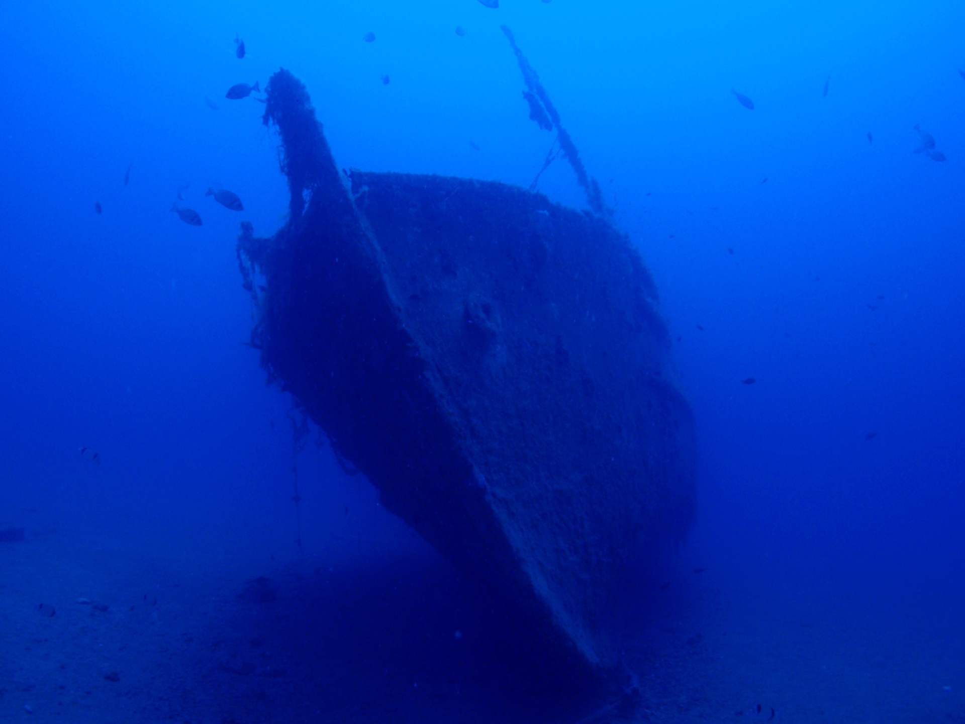 科孚島高級開放水域潛水體驗（PADI潛水中心）