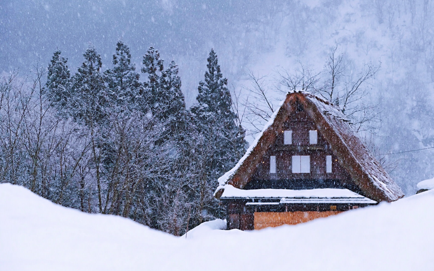 Nagoya Shirakawa-go World Heritage & Hida Takayama Full-Day Tour