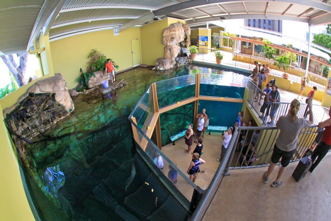 crocosaurus cove discount