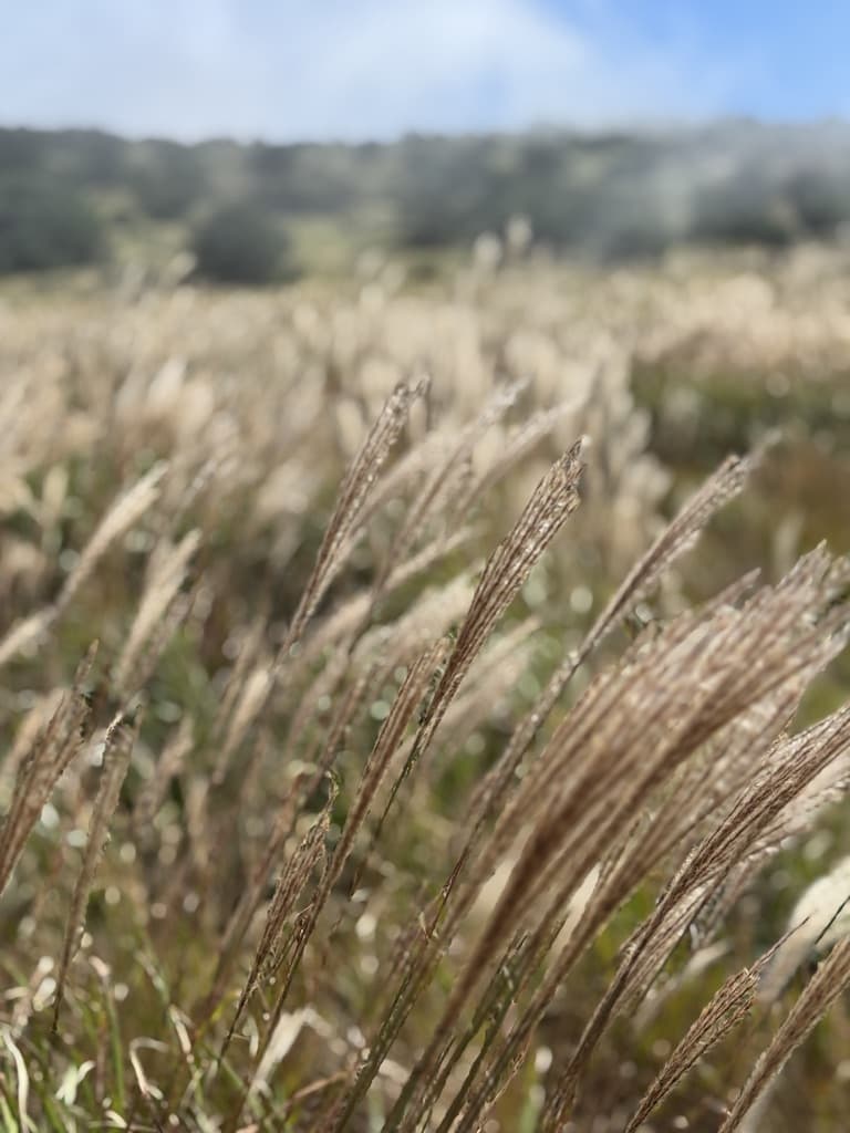 御里牧路線 御里牧路線