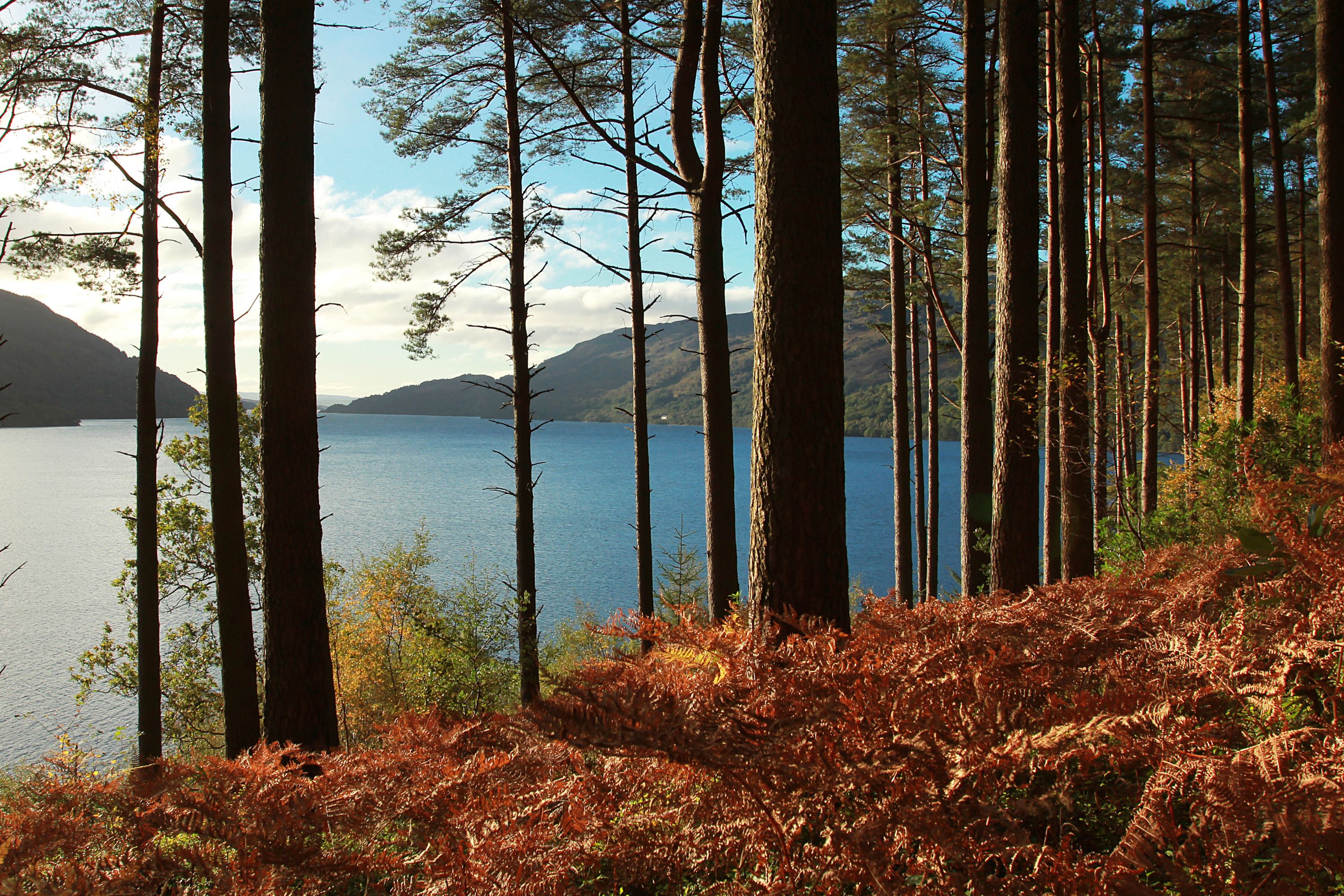 Experience the serene beauty of Loch Lomond, Scotland's largest loch, with picturesque landscapes and tranquil waters.