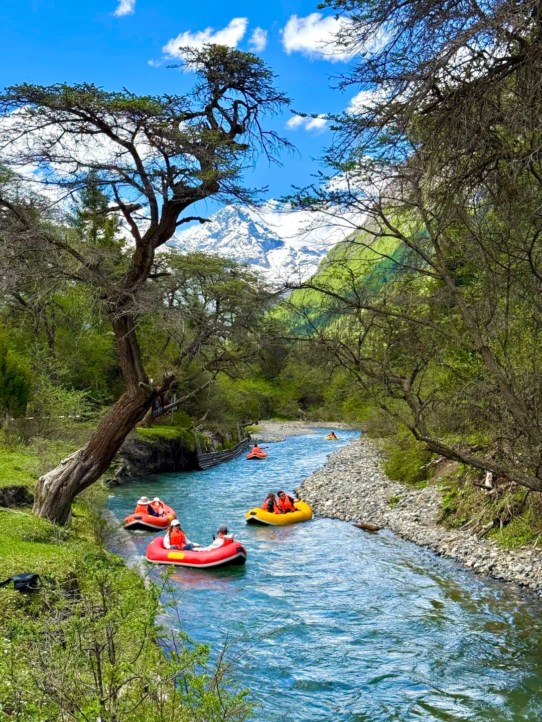澄澈溪流上彩色漂流船靈動穿梭，兩岸翠林與遠處雪山在藍天映襯下，讓四姑娘山的夏日景緻既清新又壯美