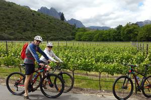 Guided bicycle tour through Stellenbosch