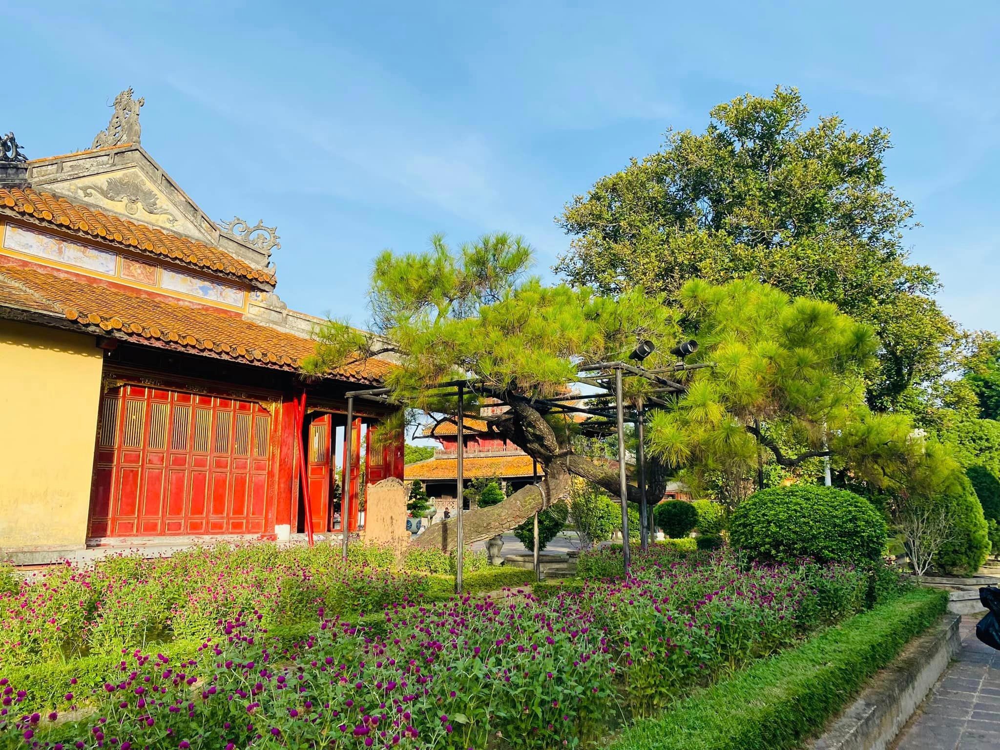 順化步行遊覽皇城和東巴市場