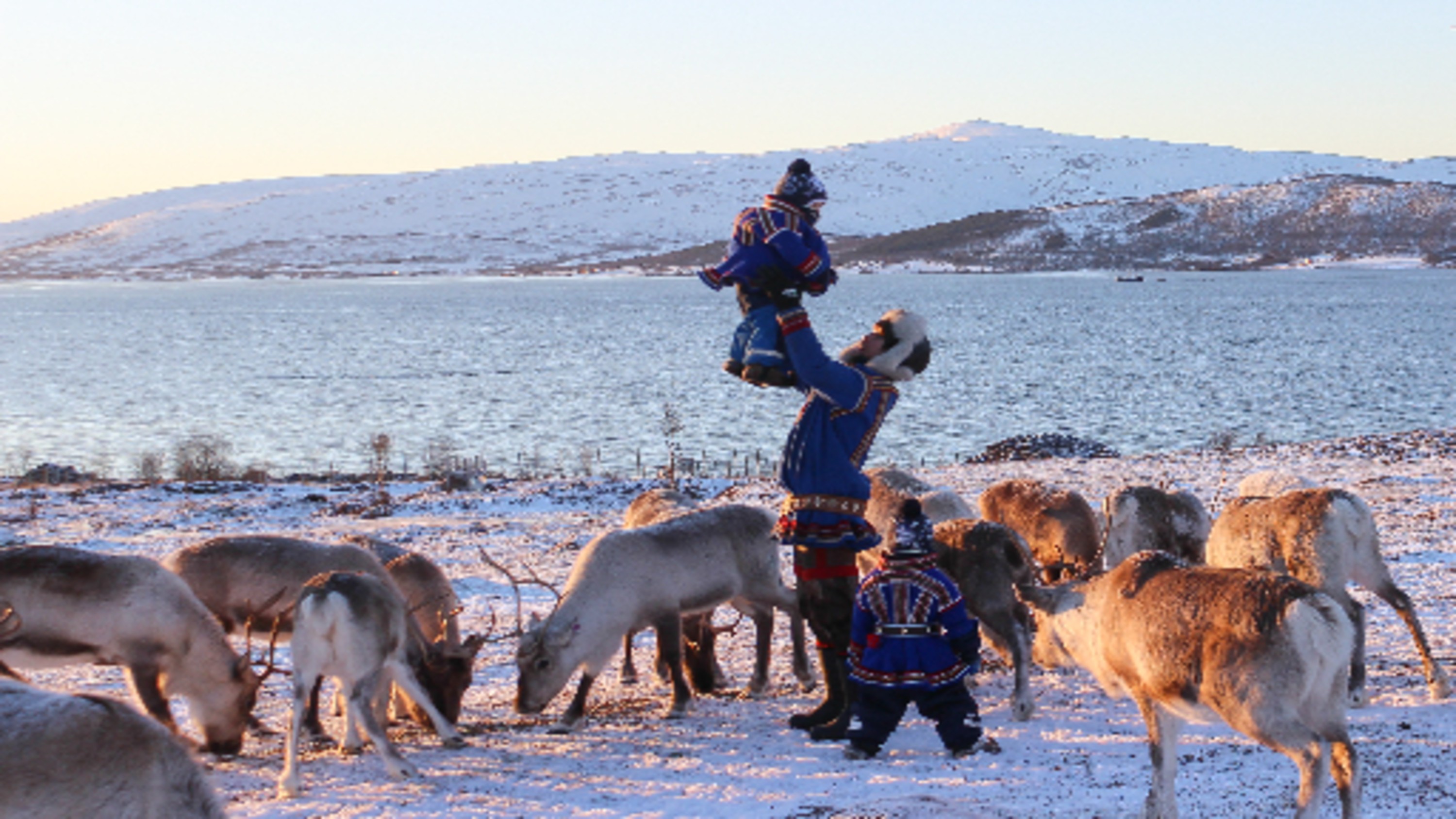 Reindeer Ranch and Sami Cultural in Tromso