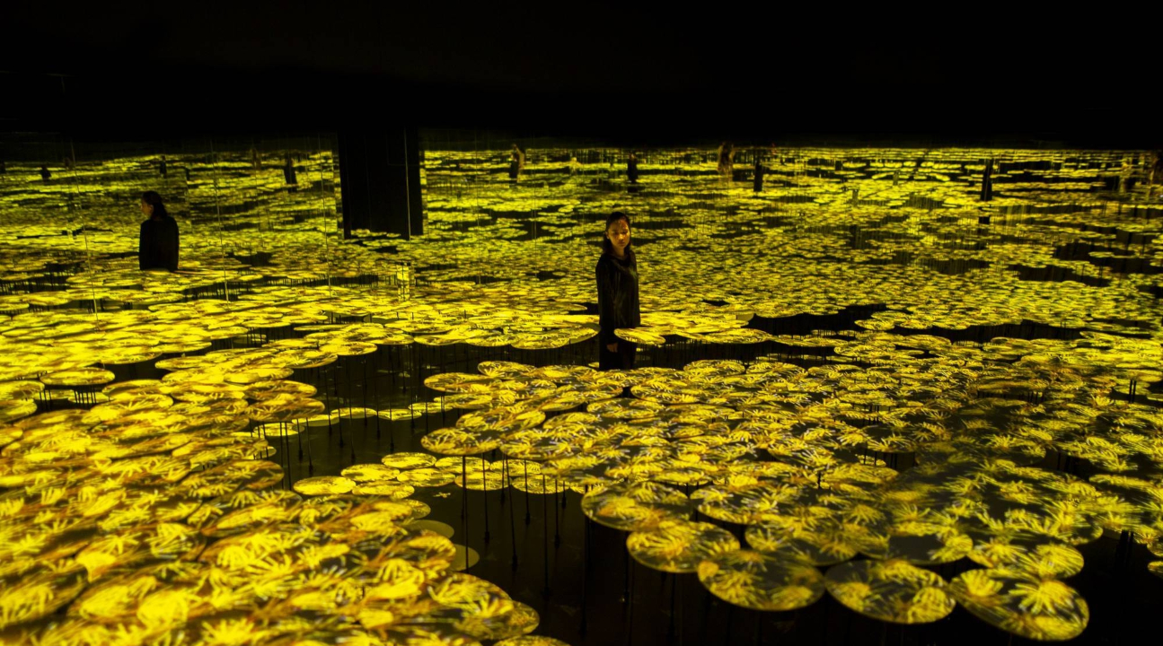 TeamLab Borderless Ticket in Shanghai