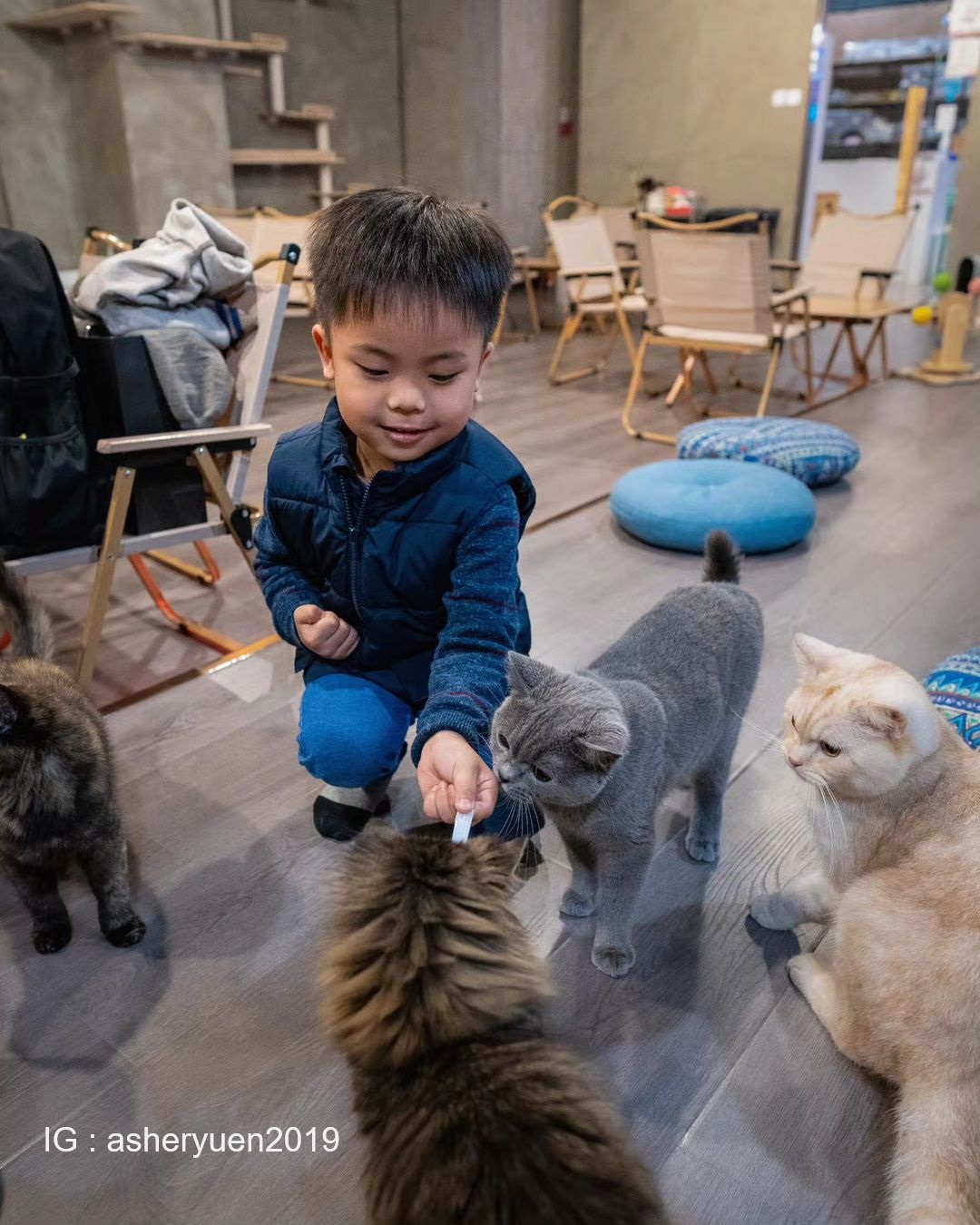 Kelly And Meows - Cat Experience Center | Kwun Tong