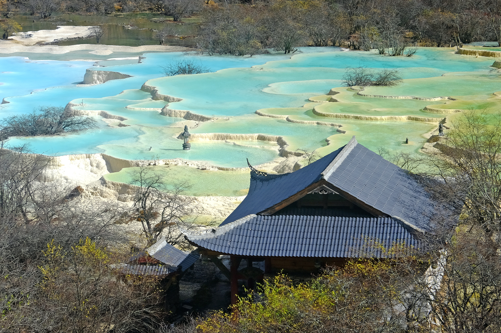 成都熊貓基地&黃龍溪包車一日遊