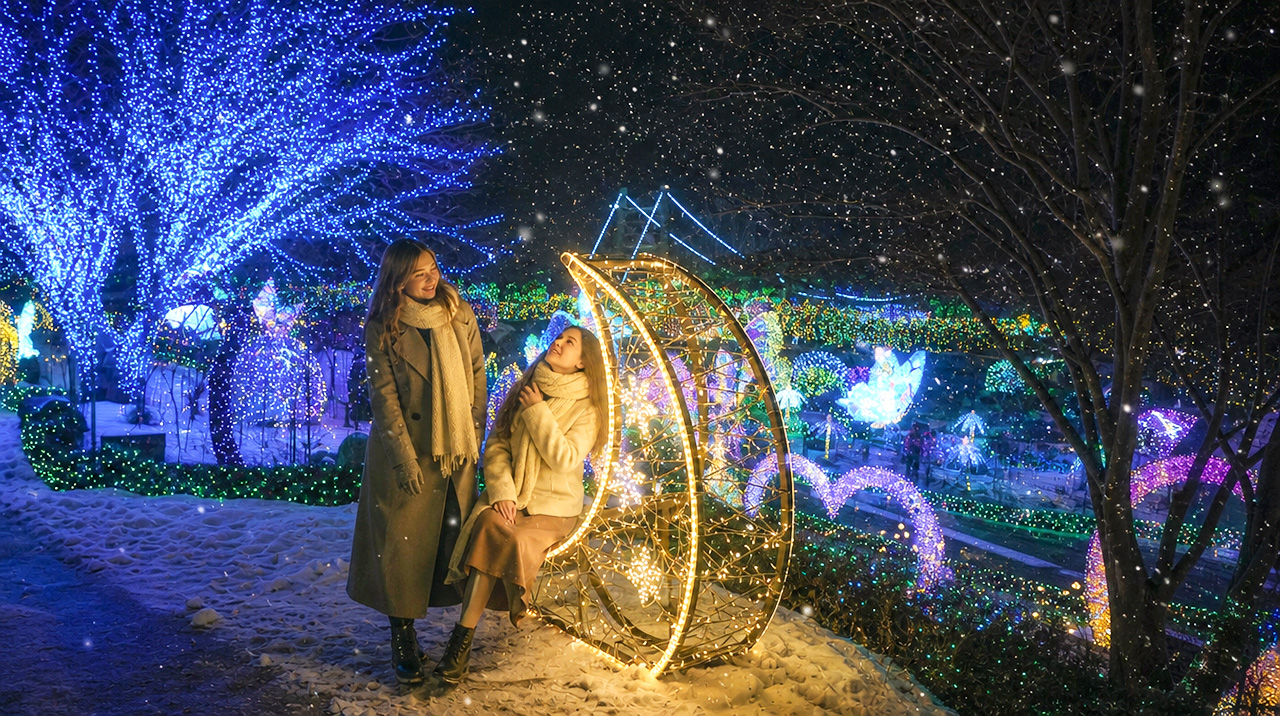 冬季晨靜樹木園🎇