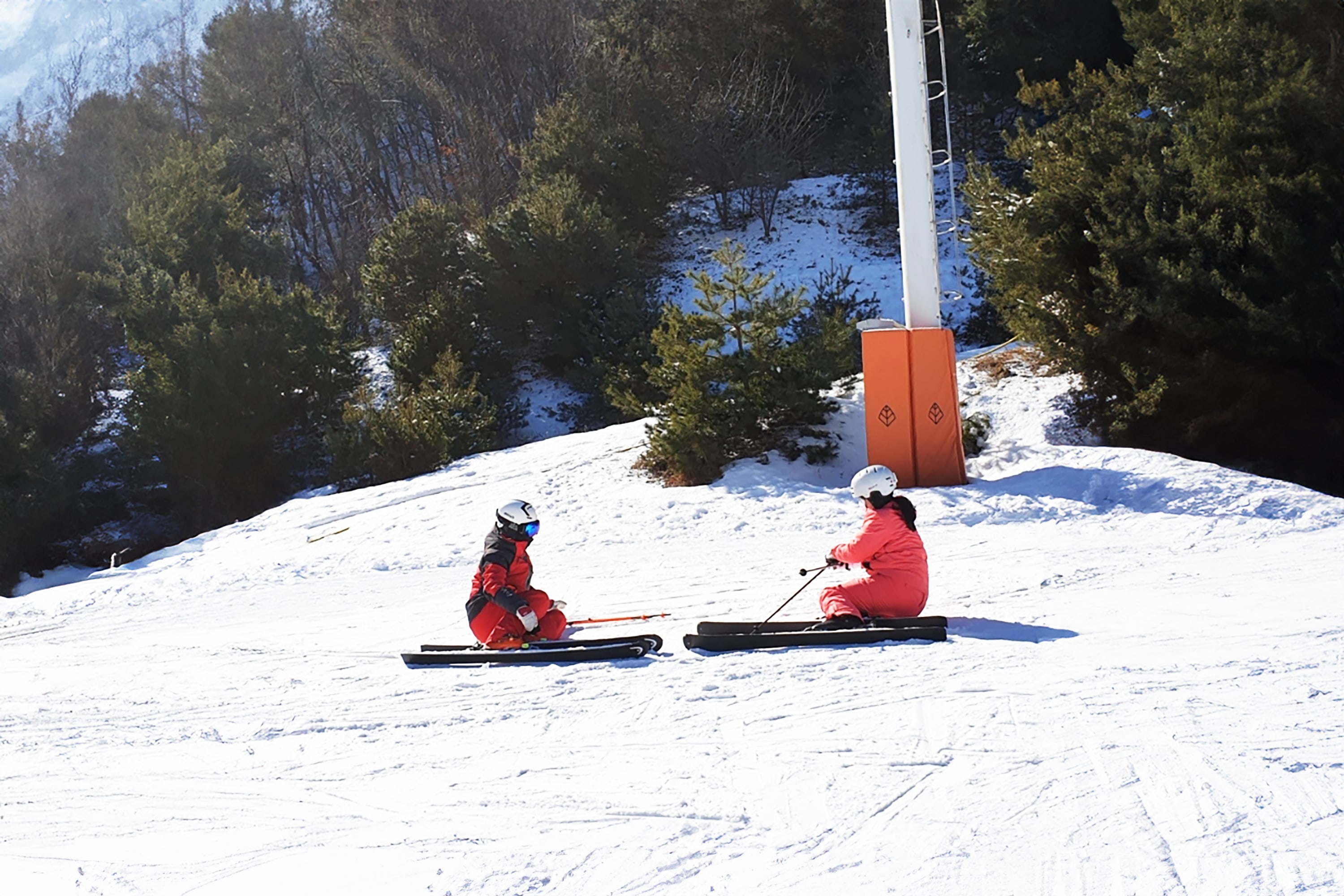 芝山森林度假村 (Jisan Forest Resort) 滑雪橇一日遊（首爾 (Seoul) 出發）