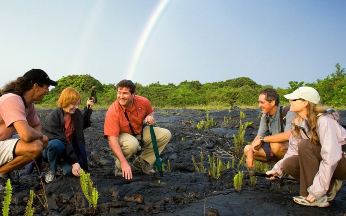 Hawaii volcano, chocolate & waterfalls tour from Kona, Waikoloa & Hilo